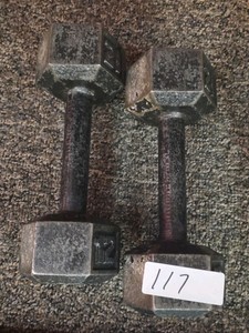 12 lb dumbbell set