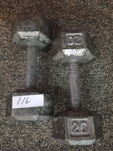 20 lb dumbbell set