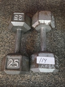 25 lb dumbbell set