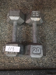 20 lb dumbbell set