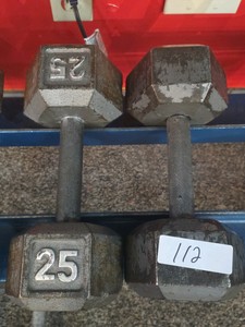25 lb dumbbell set