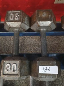 30 lb dumbbell set