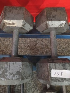 50 lb dumbbell set