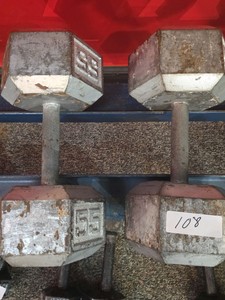 55 lb dumbbell set