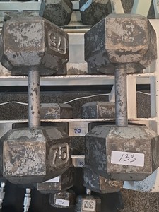 75 lb dumbbell set
