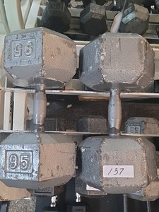 95 lb dumbbell set