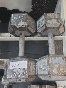45 lb dumbbell set