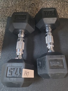 17.5 lb dumbbell set