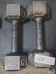 12 lb dumbbell set