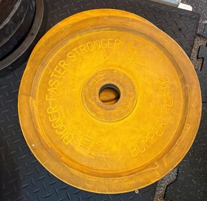bigger faster, stronger 10-pound bumper plate 2 in lot