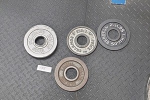 2.5 lb weight plates 6 in lot