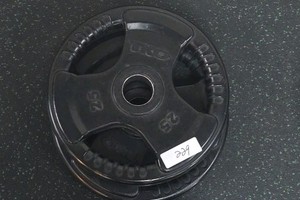 25 lb barbell weight plates 2 in lot