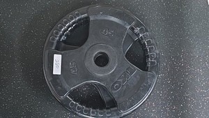 45 lb barbell weight plates Lot of 2