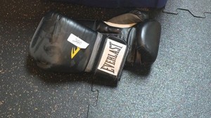 Everlast boxing gloves
