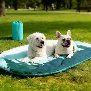 $23 PUPTECK Reversible Outdoor Travel Dog Bed Waterproof, Camping Essentials with Carry Bag, Portable & Foldable Pet Pad Crate Kennel Mat for Large Medium Small Dogs, Travel Accessories, 43x26 Blue