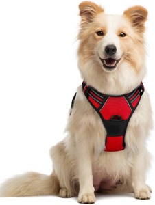 $27 rabbitgoo Dog Harness No Pull with 2 Leash Clips, Adjustable Soft Padded, Reflective Oxford No Choke Pet Vest with Easy Control Handle for Medium Sized Dogs, Red, M