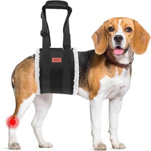 $19 Adjustable Dog Lift Harness, Dog Sling for Large Dogs Lift Support and Rehab Harness for Weak Rear Legs, Soft Hind Leg Support Helps Senior, Injured, Disabled and After ACL Surgery Dogs(Black,Medium)