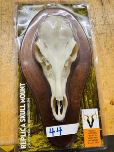 New  Replica SKULL MOUNT KIT