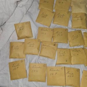Lot of Wheatback Pennies, See Pics for Dates