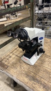 Olympus Microscope (619535)