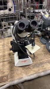 Olympus Microscope (619555)