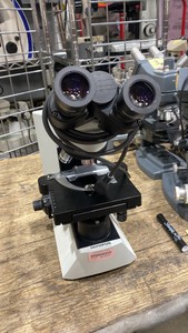 Olympus Microscope (619538)
