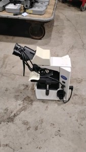 Olympus Microscope (619542)