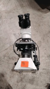 Olympus Microscope (619552)