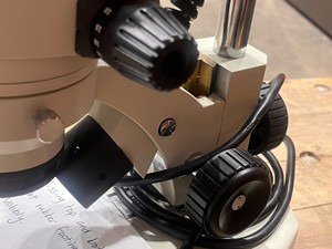 LW Scientific (619481)