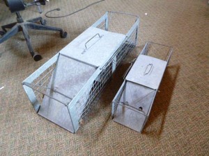 2 Havahart Live Traps