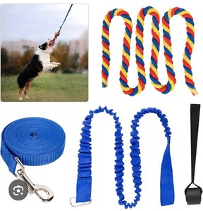 Dog Bungee For Medium to Large Dogs