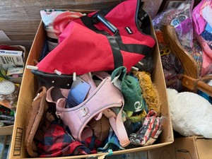 25x25 Box full of Pet Wearables