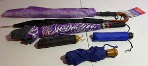 Lot of Assorted Umbrellas