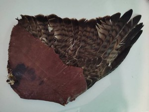 Native American Artifact Bird Feathers Wrapped in Leather
