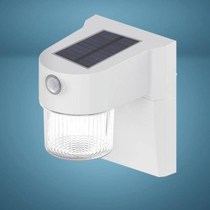 Patriot Lighting  White LED Motion Sensor Solar Outdoor Jelly Jar Security Light