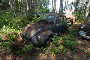 1971 Volkswagen Beetle Project Car - Clean Title