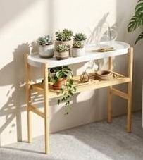 Wisuce 2-Tier Bamboo Plant Shelf $69.59 Retail - Brand New