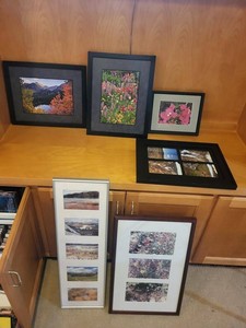 Framed Landscape & Floral Photo Print Wall Art Decor Mixed Group