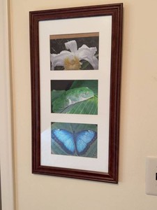 Broyhill Weston Gallery Framed Wall Art Cherry 10x20 Multi Open