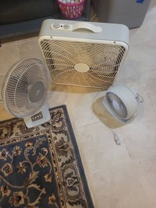 Assorted Electric Fan Lot Honeywell Turbo WindChaser Desk & Box Fan