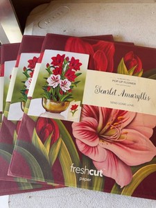 FreshCut Paper Scarlet Amaryllis Pop-Up Flower Card Set of 4