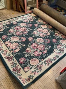 Allante Collection Floral Area Rug Rose Pattern Approximately 6x8