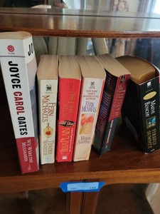 Lot of Contemporary Fiction Paperbacks Oates Michaels Binchy Plain