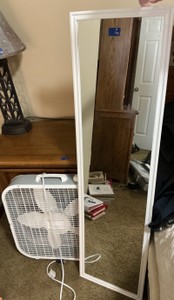 Floor mirror and fan