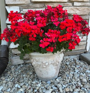 2 outdoor flower pottery planters pots