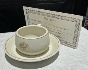 Vintage Holland America line cup and saucer set