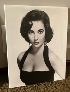 Canvas of Elizabeth Taylor