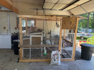 Chicken Coop with Wheels, Nesting Box and 2 Polish Chickens - see description for more details