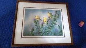 framed signed bird print