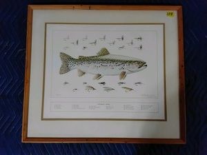 Aldridge Hardie Rainbow Trout print in natural wood frame